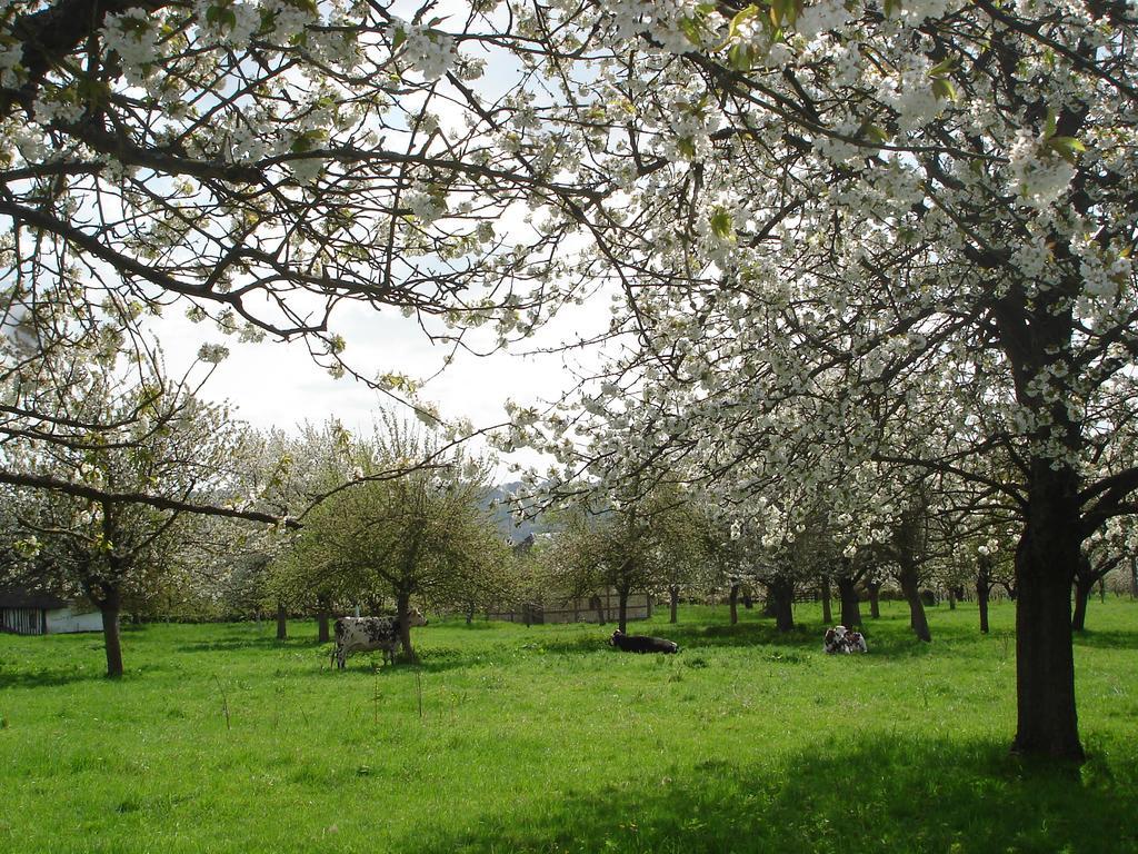 Chambres D'Hotes Au Temps Des Cerises Jumieges Luaran gambar